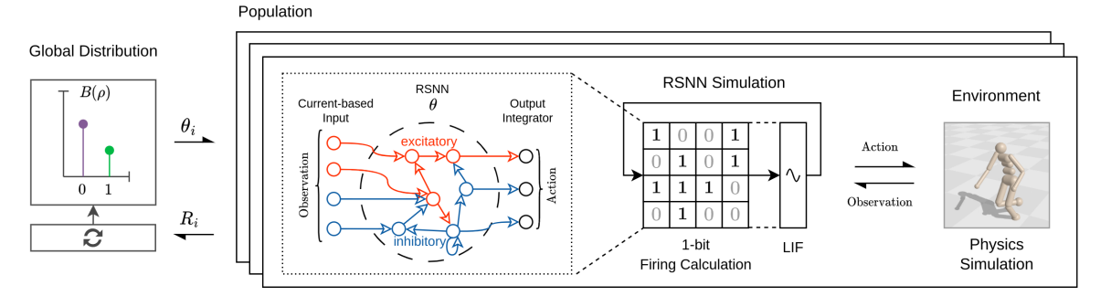 Figure 1: Architecture of evolving connectivity (EC)