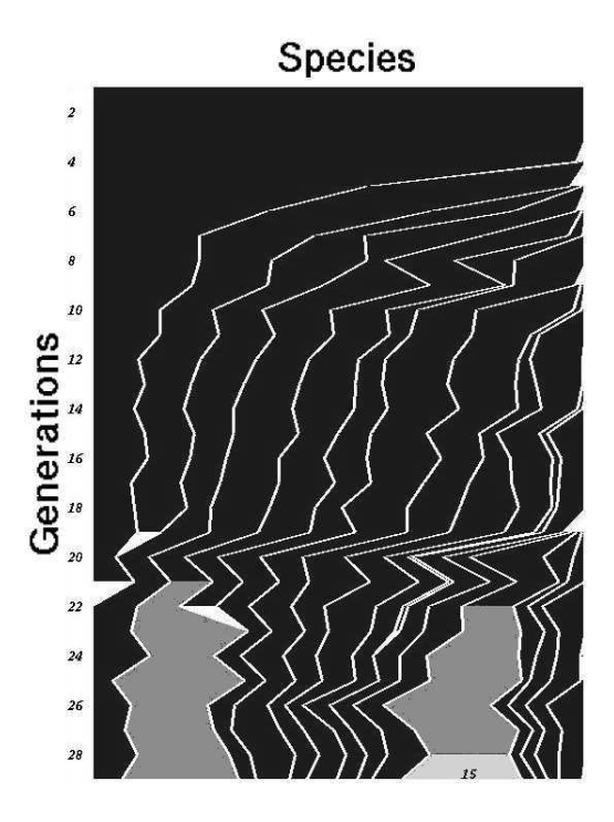物种形成可视化